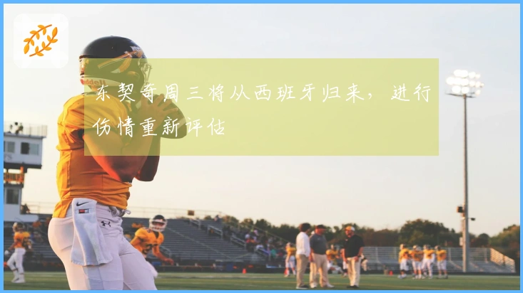 东契奇周三将从西班牙归来，进行伤情重新评估