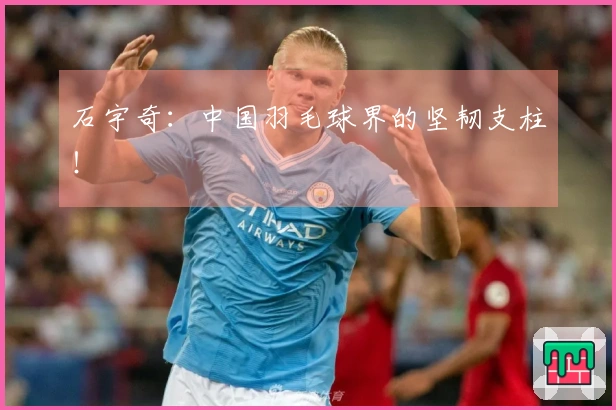 石宇奇：中国羽毛球界的坚韧支柱！